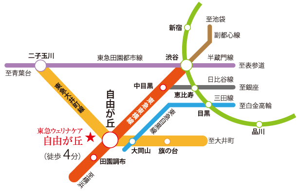 東急ウェリナケア 自由が丘 アクセス 環境 東急ウェルネスの介護付有料老人ホーム 東急ウェリナケア 自由が丘 アクセス 環境 東急ウェルネスの介護付有料老人ホーム