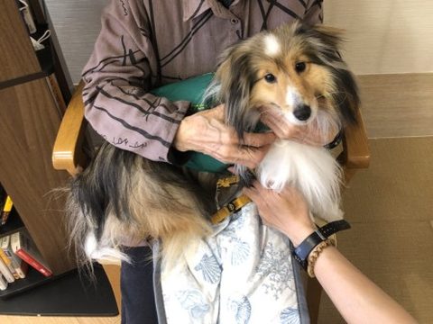 ご入居者のひざの上で抱かれる小型犬