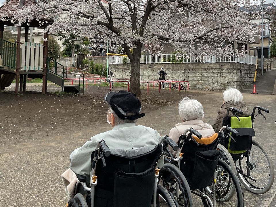 満開の桜の木の前に並ぶ、車いすのご入居者