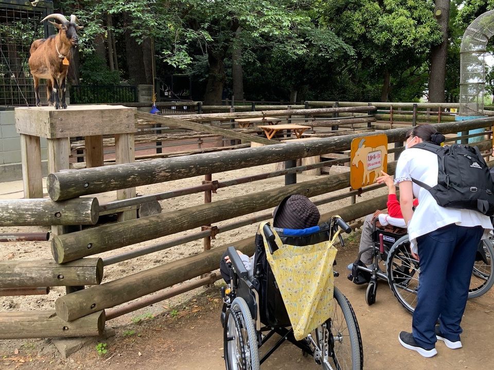 動物公園で、柵の向こうのヤギを見る車いすのご入居者とスタッフ