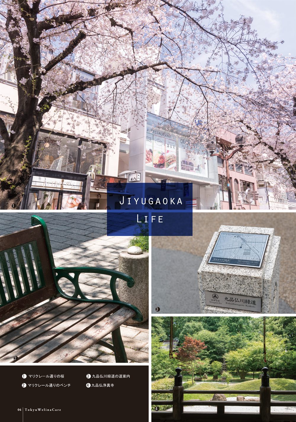 P.4 「JIYUGAOKA LIFE」マリクレール通りの桜とベンチ、九品仏川緑道の道案内、九品仏浄真寺の庭園の写真
